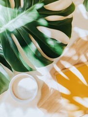 Poster - Minimalist Wellness Aesthetics Organic Monstera Leaf Composition with Soft Natural Textures - Biophilic Design for Contemporary Lifestyle Branding