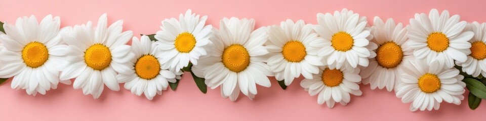 Poster - Soft Pastel Floral Harmony Minimalist Daisy Arrangement Showcasing Pure Botanical Elegance for Wellness Branding and Aesthetic Digital Content