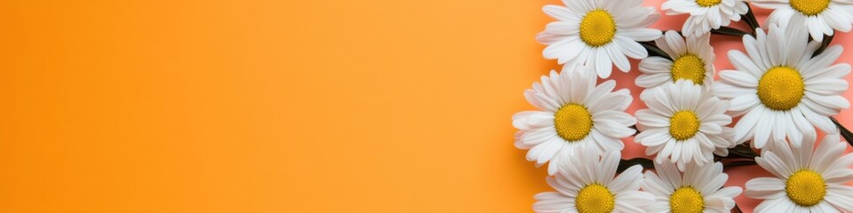 Poster - Vibrant Minimalist Botanical Scene Soft White Daisy Arrangement on Sunny Orange Background - Contemporary Wellness and Design for Lifestyle Branding
