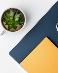 Aufkleber - Modern Minimalist Workspace Geometric Color-Block Desk with Succulent Plant - Productivity Design and Creative Professional Aesthetic for Remote Work Era