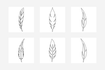 Poster - Square Template.Black Feather Vector Set - Elegant Outline Illustration for Design and Decoration