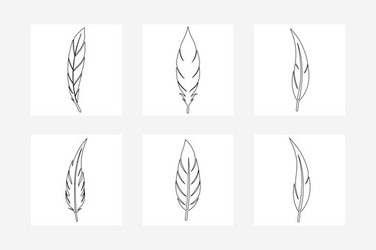 Square Template.Black Feather Vector Set - Elegant Outline Illustration for Design and Decoration