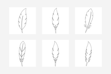 Poster - set of hand drawn feathers.Black Feather Vector Set - Elegant Outline Illustration for Design and Decoration