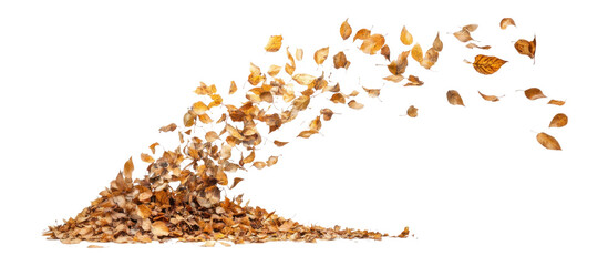 Wall Mural - png leaves wave leaf artistic graceful.