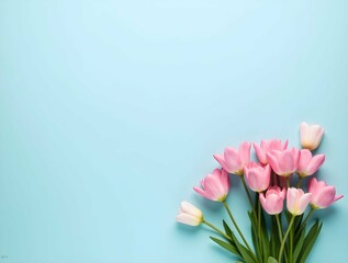 Poster - Pink and white gerbera daisies and buds are arranged on a light blue background, creating a fresh