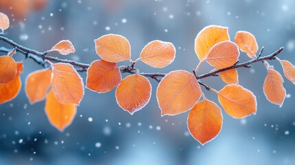 Poster - Frosty orange leaves on a branch in winter snowfall.