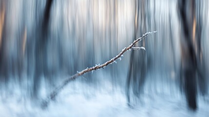 Poster - Frosty twig in a blurred winter forest.