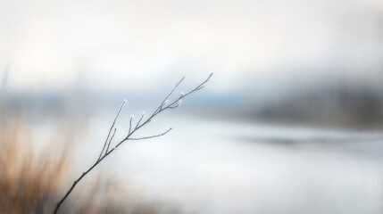 Poster - Frosty twig near a blurred lake.
