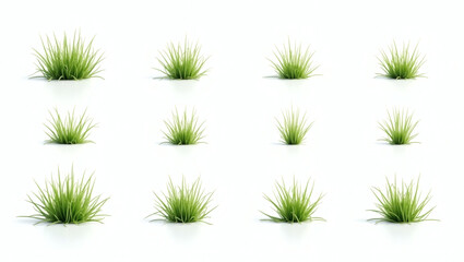 Poster - twelve tufts of green grass arranged in a grid formation. The grass has a vibrant green color, and a shadow under each of tufts