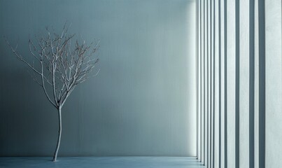 Poster - A solitary bare tree stands in an interior setting, casting long geometric shadows on a wall.