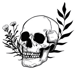 Poster - PNG Vintage skull tattoo flat illustration illustrated stencil drawing.