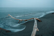 © Travel 'n' Lifestyle - View of serene beach with driftwood and calm ocean waves, Ajaccio, Corsica, France.