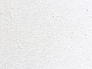 Poster - White Textured Wall Surface Background Image High Resolution Detailed Pattern