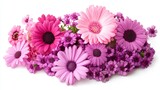 Pink ranunculus flowers, limonium and purple freesia in a beautiful floral arrangement isolated on white.