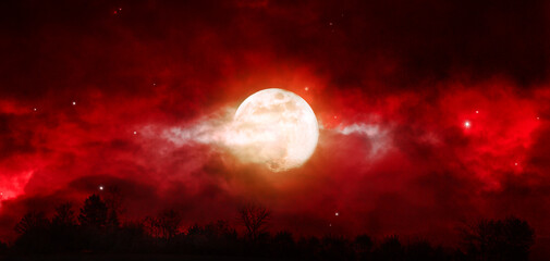 Wall Mural - full moon night sky with abstract clouds and trees.