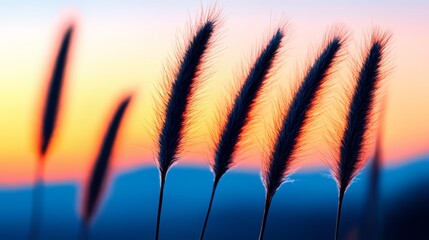 Aufkleber - Bunch of tall grasses with a beautiful sunset in the background. The grasses are tall and thin, and they are all facing the same direction. The sunset is orange and pink, and it creates a warm