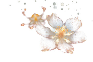 Wall Mural - png starry sakura light outdoors blossom.