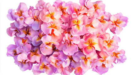 Poster - Vibrant bouquet of purple irises for floral decoration and design