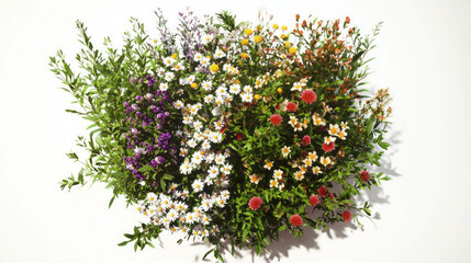 Poster - Vibrant bouquet of diverse wildflowers for nature-themed design