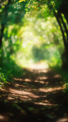 Aufkleber - Beautiful path in a blurred green forest illuminated by sunlight filtering through trees, creating a magical atmosphere