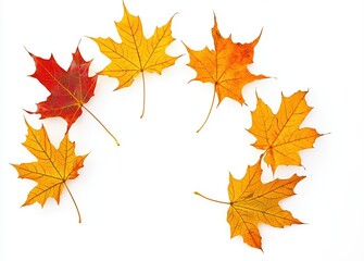 Aufkleber - Colorful autumnal maple leaves falling on white background