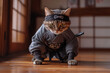 © Ann - Cat dressed as a ninja prepares to pounce inside a traditional Japanese room during daytime