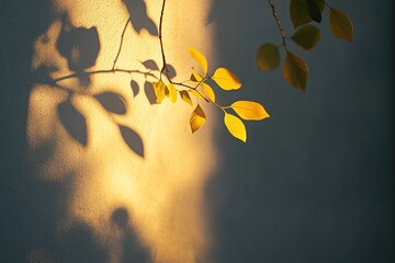Tree branch with leaves and sun rays on grey wall background