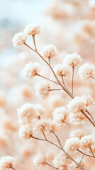 Poster - Delicate white flower blossoms emerging from slender green stems, soft focus background softening botanical details