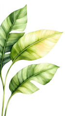 Poster - Green and yellow banana leaves creating a tropical and exotic atmosphere, perfect for summer and nature-themed projects
