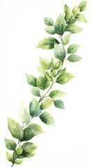 Aufkleber - Delicate green leaves gracefully adorn a branch, creating a vibrant and natural watercolor illustration