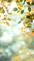 Aufkleber - Autumn foliage glowing, golden-green leaves backlit by warm sunlight filtering through branches