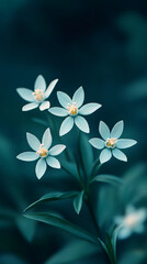 Poster - Light blue wildflowers clustering together, revealing delicate yellow centers against shadowy botanical backdrop
