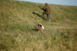 © otterspeer.com Stock - Tracking wild hares during a hunting expedition in serene countryside