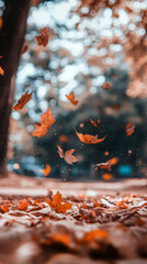 Aufkleber - Dry maple leaves softly drifting downward, carpeting forest ground with golden-brown hues during gentle autumn breeze