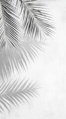 Poster - Tropical palm leaves are casting beautiful shadows on a white wall, creating a serene and relaxing atmosphere perfect for summer and travel themes