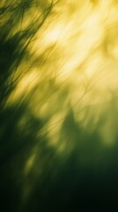 Poster - Blurred branches create an abstract pattern with sunlight filtering through, providing a nature-inspired backdrop with a touch of golden glow