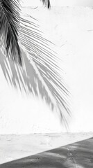 Poster - Tropical palm tree leaves are casting a beautiful shadow against a white wall and floor, creating a serene and minimal composition in monochrome