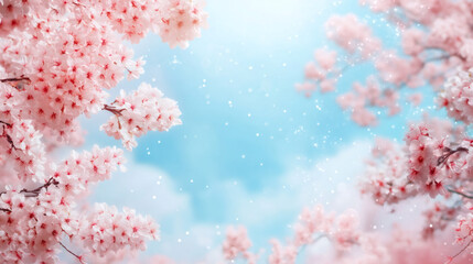 Aufkleber - Pink cherry blossom flowers blooming on branches in spring with blue sky and soft light bokeh background