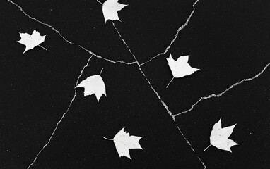 Poster - White Maple Leaves on Dark Textured Background