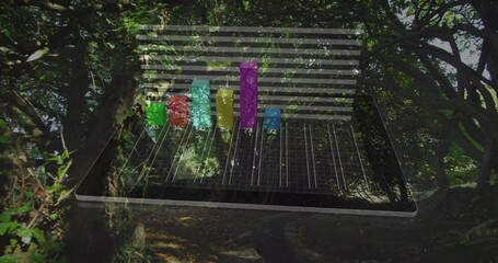 Poster - Animating bar graph over forest background with sunlight filtering through trees