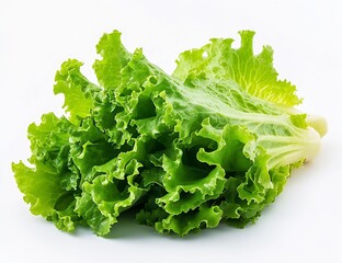 Poster - Fresh green lettuce leaves with a crisp texture isolated on a white background for healthy eating : Generative AI