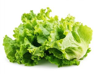 Poster - Beautifully arranged green lettuce showcasing its vibrant layers for culinary arts : Generative AI