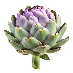 Poster - Stunning Large Artichoke with Vibrant Purple and Green Leaves Featuring Fine Textures : Generative AI