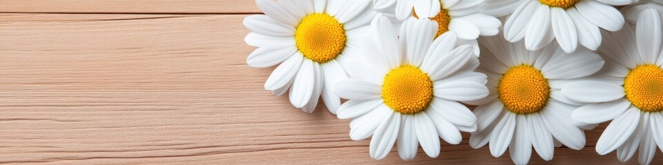 Poster - Minimalist Botanical Serenity Soft White Daisies on Textured Wood - Wellness Aesthetic for Mindful Living and Natural Home Decor Inspiration