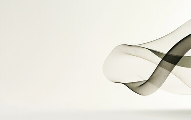 Fototapete - Abstract Black And White Mesh Ribbon