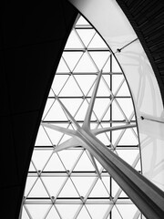 Fototapete - Glass wall Steel column structure glass Wall curve vault Architecture details