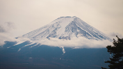 Wall Mural - landscape of mount fuji and cloud in the morning at yamanaka lake japan.