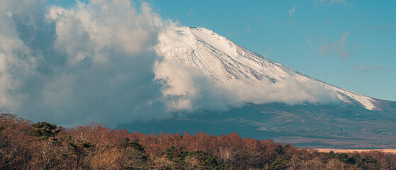 Wall Mural - landscape of mount fuji and cloud in the morning at yamanaka lake japan.
