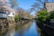© MST. Anjumanara - Tranquil Spring Canal Scene Cherry Blossoms Japan sky day sun blue pink city