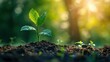 © Fitriaa - New Life Emerging